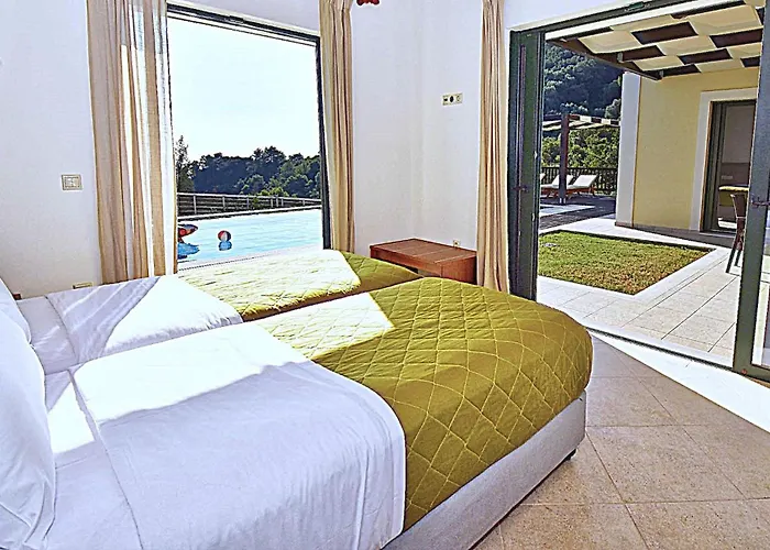 Άρκτος Οε Pelekas