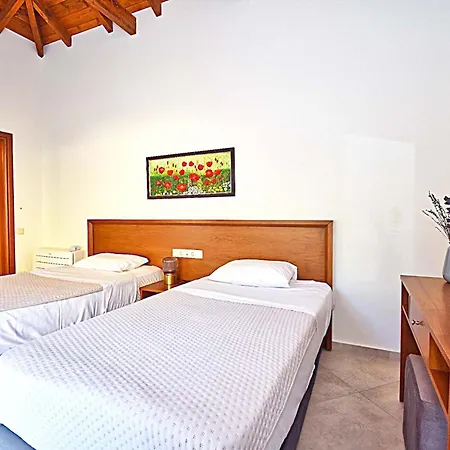 Villa άρκτος οε *