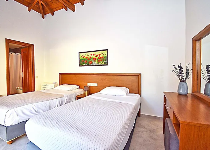 别墅 άρκτος οε *